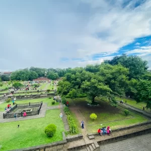 unnamed - 2025-06-17T144844.110