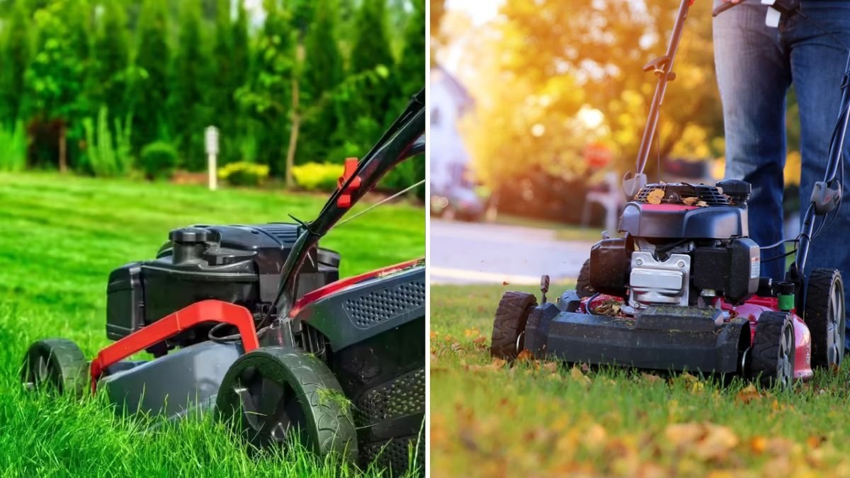 7 Common Lawn Care Mistakes You’re Probably Making