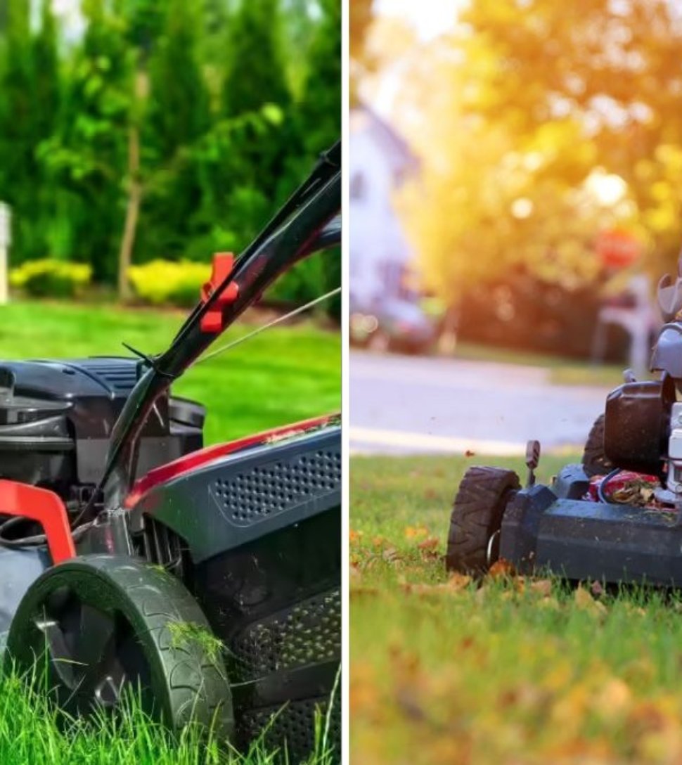 7 Common Lawn Care Mistakes You’re Probably Making