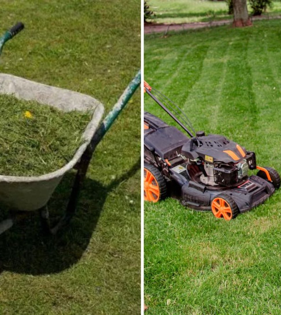 Should You Bag or Mulch Grass Clippings? Experts Weigh In