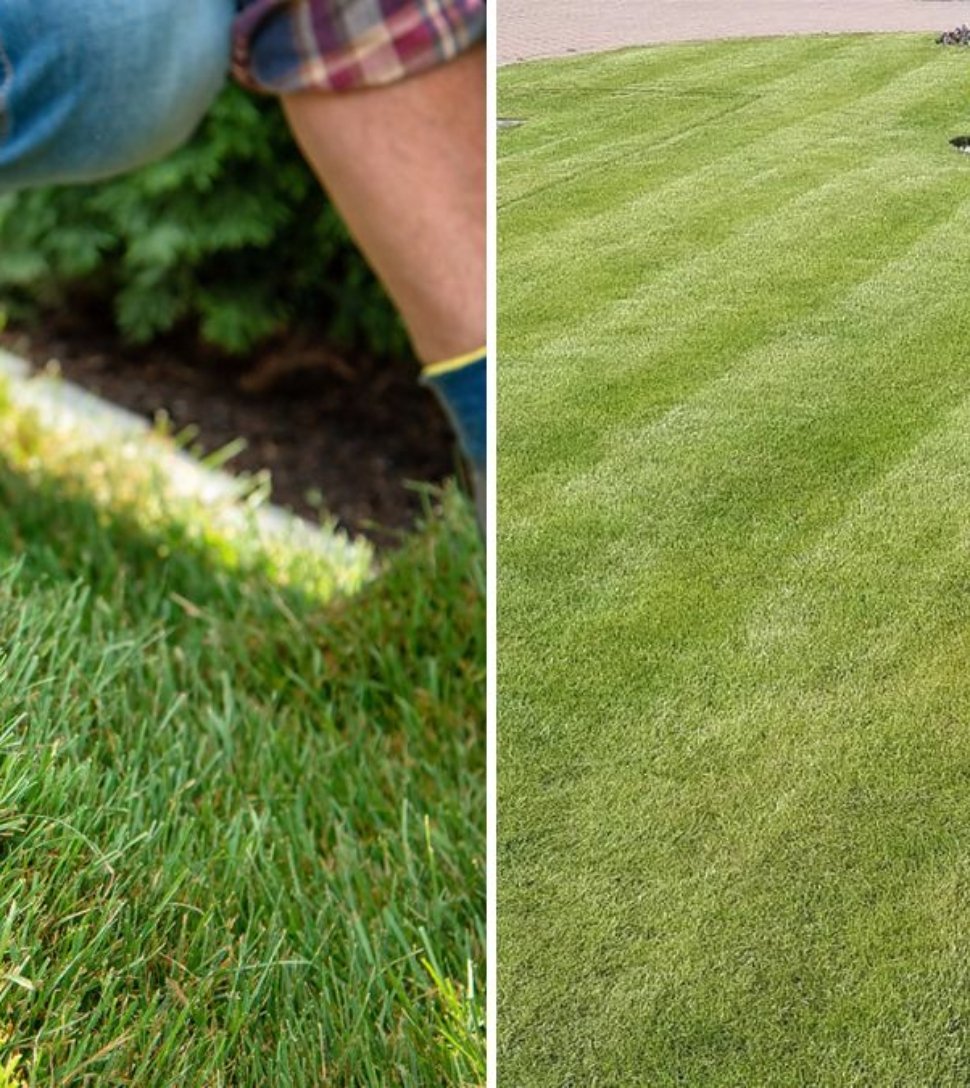 How to Fix Bare Patches in Your Yard — Step by Step