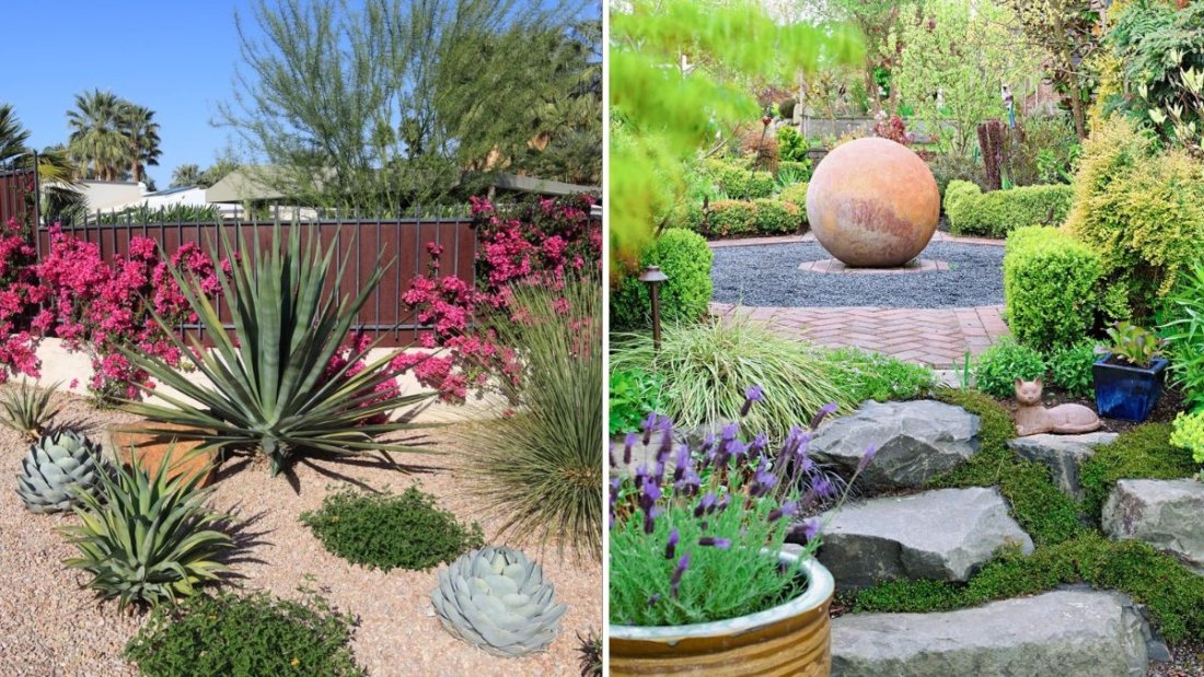 How to Design a Drought-Tolerant Garden That Still Looks Lush