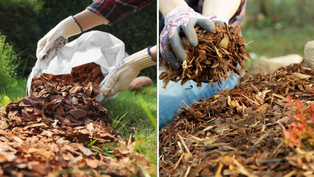 Why Mulching Is The Secret To Healthier Soil