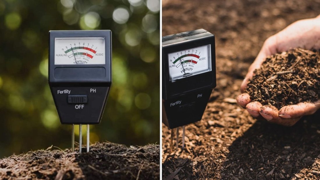 How To Test Your Garden Soil pH (And What It Means)