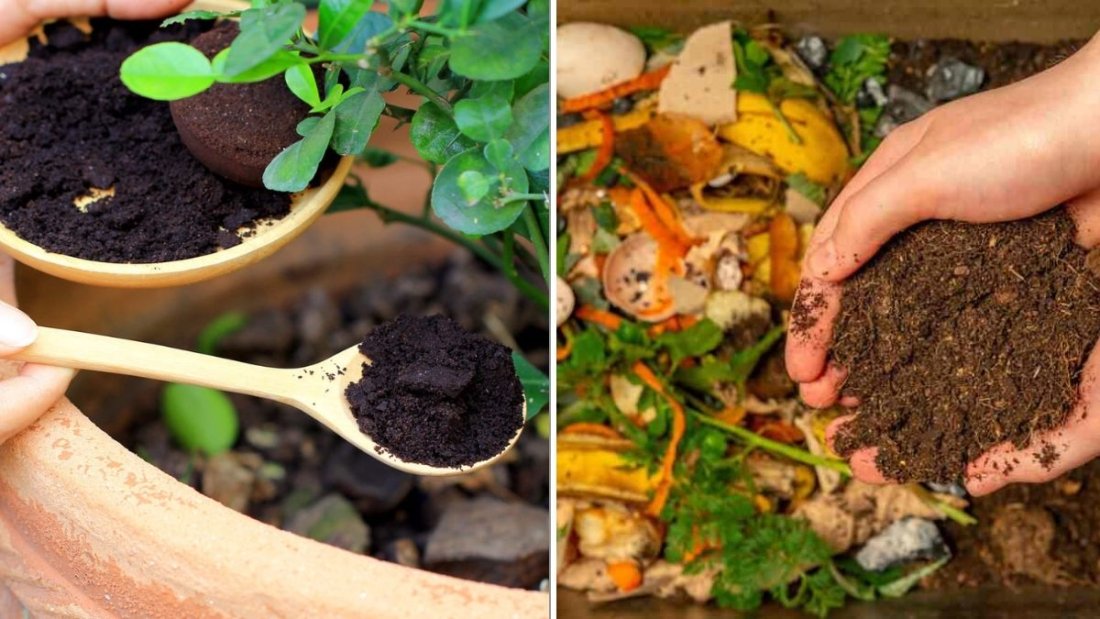 6 Organic Fertilizers You Can Make At Home