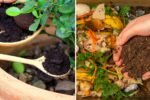6 Organic Fertilizers You Can Make At Home