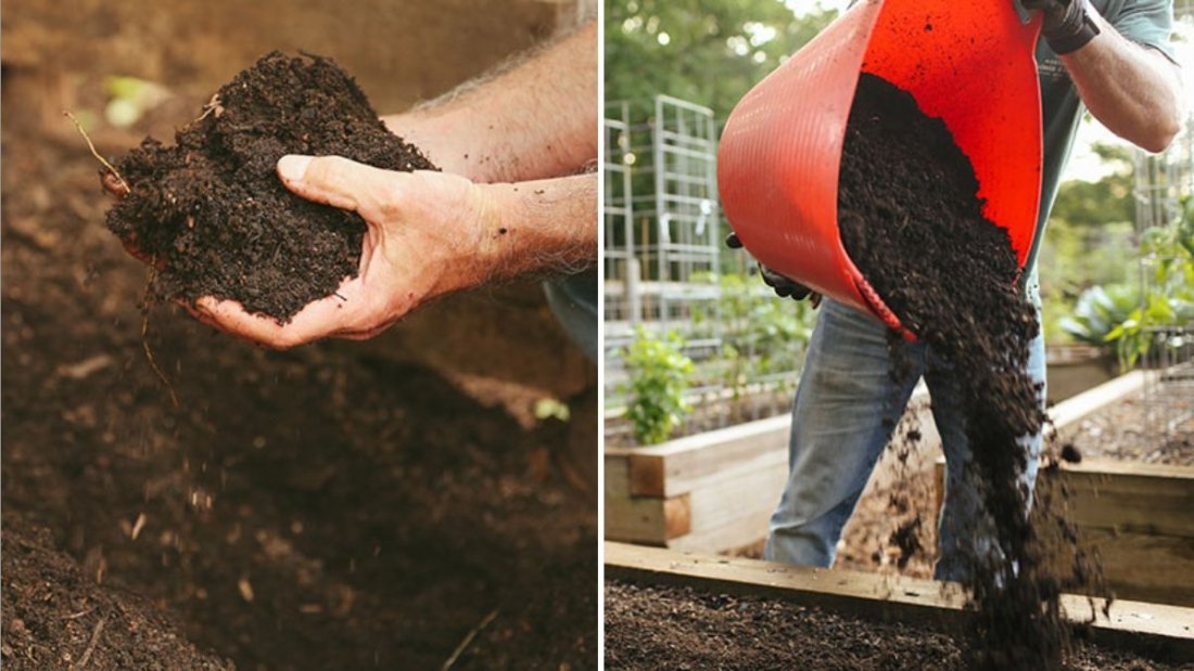 How to Improve Garden Soil Naturally
