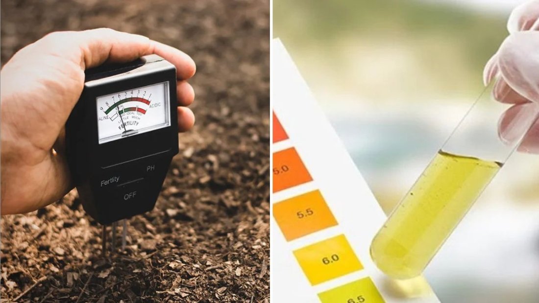 How to Balance Soil pH Naturally