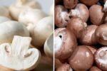 Button Mushrooms The Nutritious, Flavor-Packed Superfood Transforming American Meals
